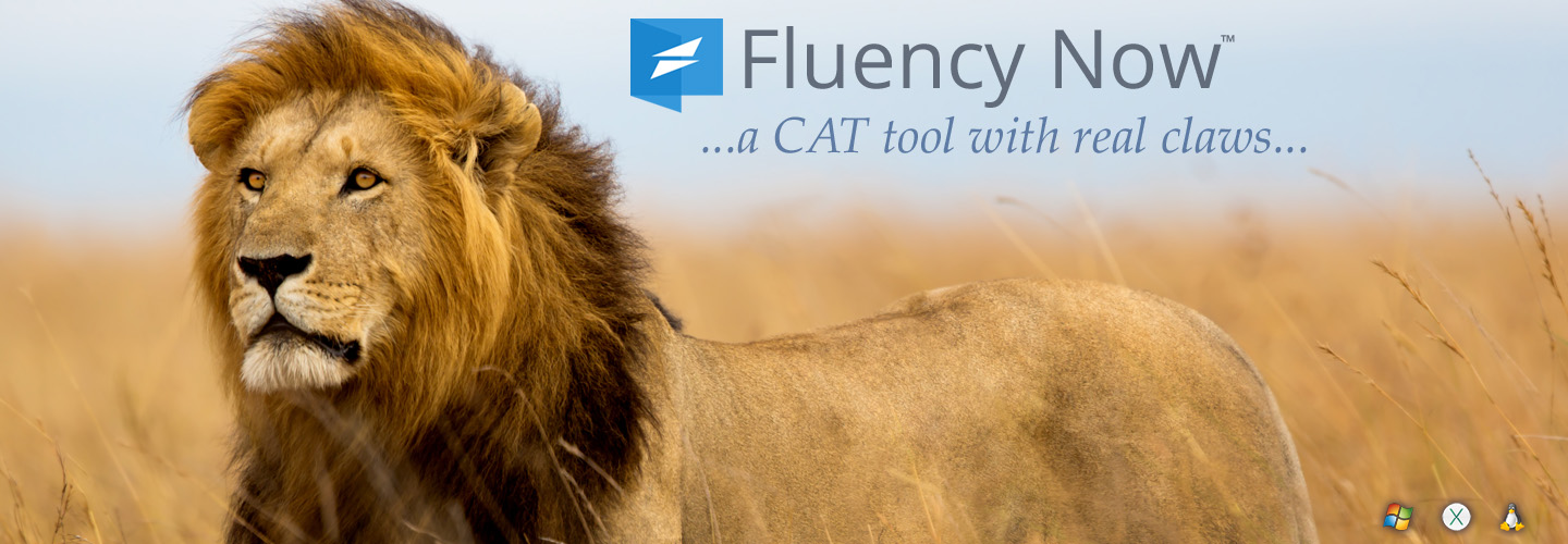 Fluency Now - Translate Smarter